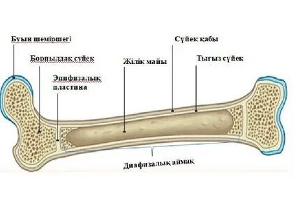 Ханшайым мен қызметші Лесби онлайн