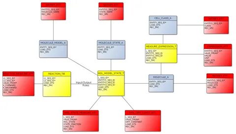 Entity name