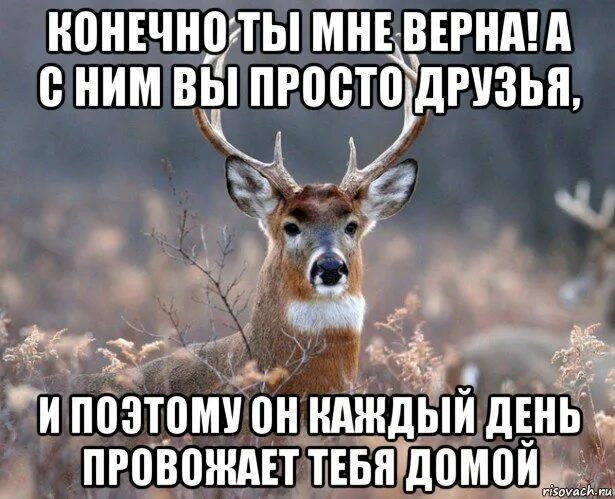 Поставь просто друг
