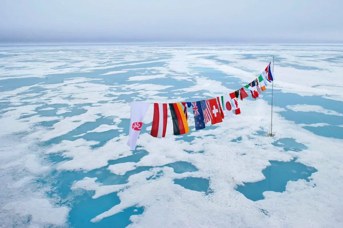 North pole 1. Северный полюс. Северный полюс 90 градусов. Флаг Северного полюса. The North Pole игра.