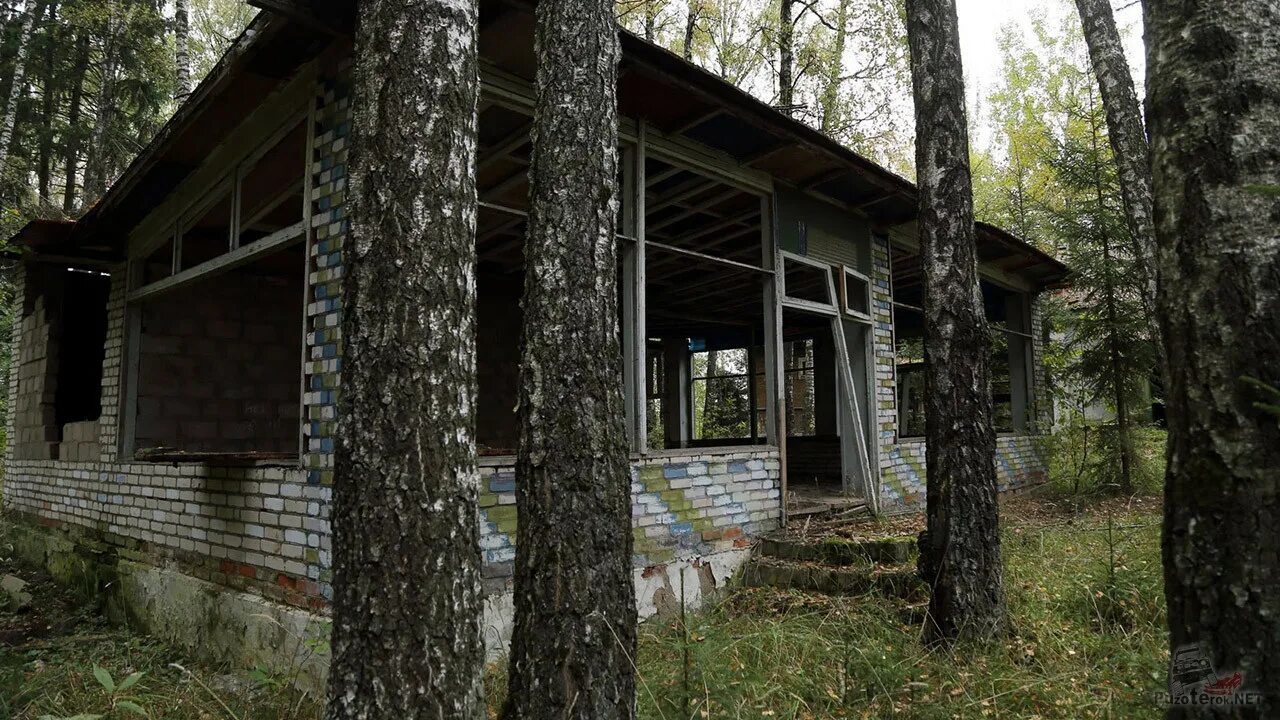 Пионерский лагерь березки внииэм. Пионерский лагерь поречье звенигород. Пионерский лагерь березка московская область. Пионерский лагерь ссср заброшенный лагерь. Объединенное королевство лагерь в подмосковье.