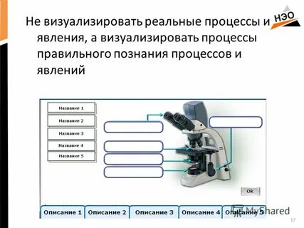 Реальные процессы и явления