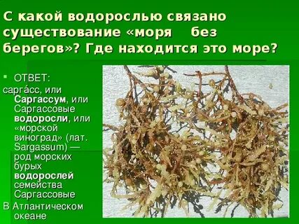 Обязательно какой корень