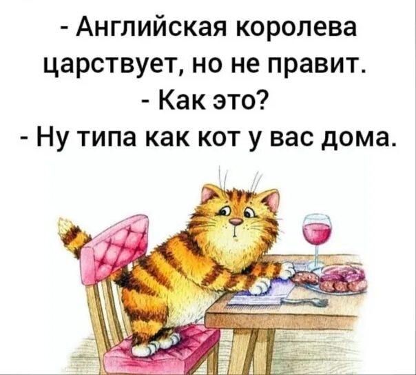 Вообще то это кот. Совсем коты распоясались.