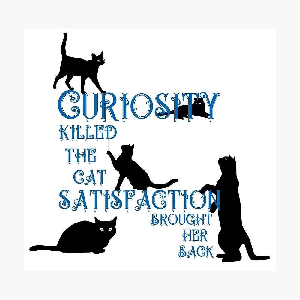 Curiosity killing the cat. Curiosity Killed the Cat. Curiosity Killed the Cat русский эквивалент. Пословица Curiosity Killed a Cat.. Curiosity Killed the Cat Мем.