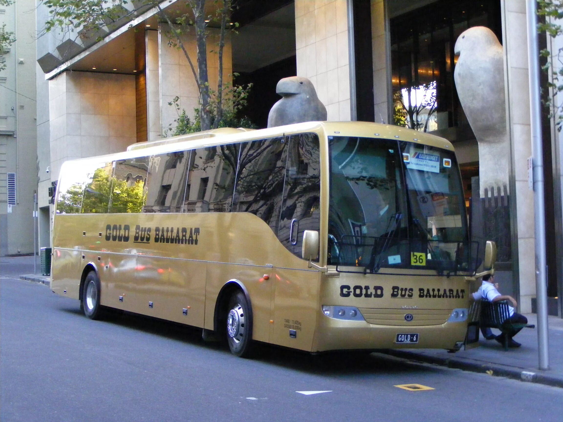 Золотой автобус спб. Голден бас. Hunday CORROLD avtobus. Золотой автобус. Автобус в золоте.