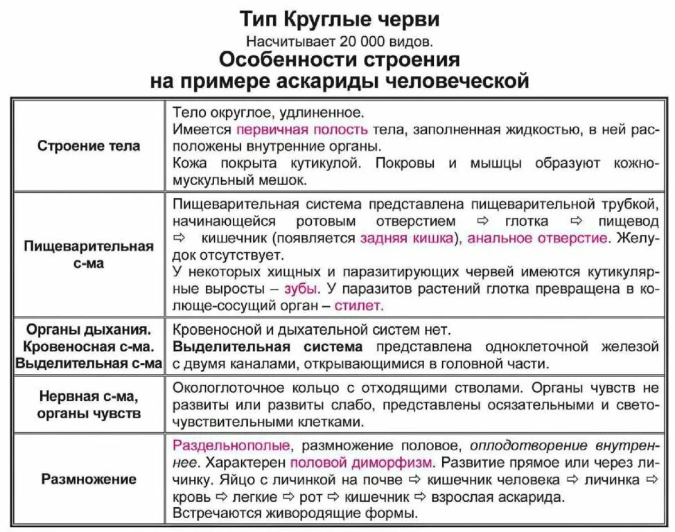 Тип круглые черви 7 класс биология таблица. Особенности внутреннего строения круглых червей таблица. таблица круглые черви система органов нематоды. тип круглые черви пищеварительная система таблица. таблица тип круглые черви 7 класс система органов.