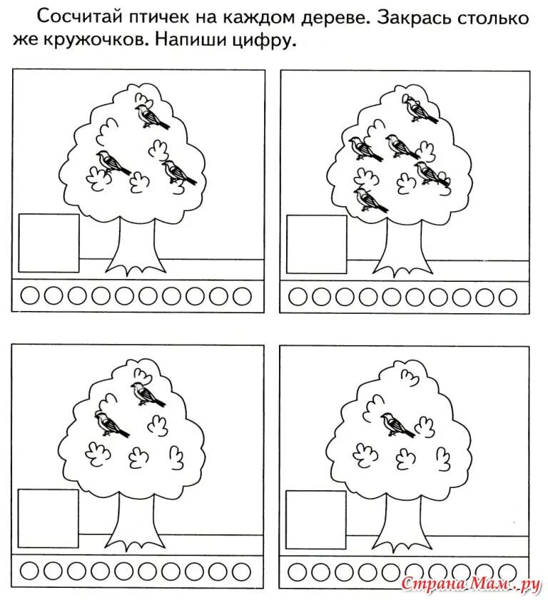 Средняя группа математика счет