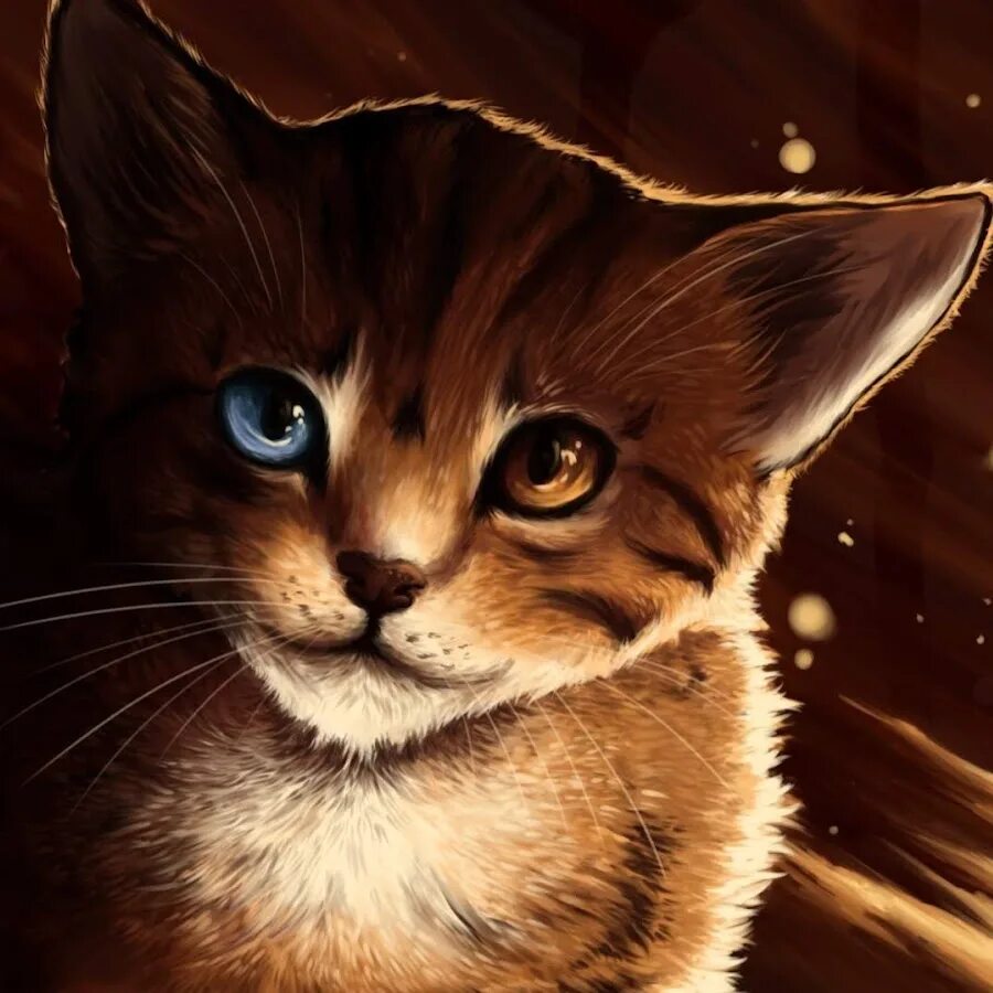 Кот аватар. Кот арт. коты арты. кот арт на аву. котята на аву.