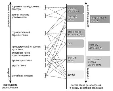 Логика случая