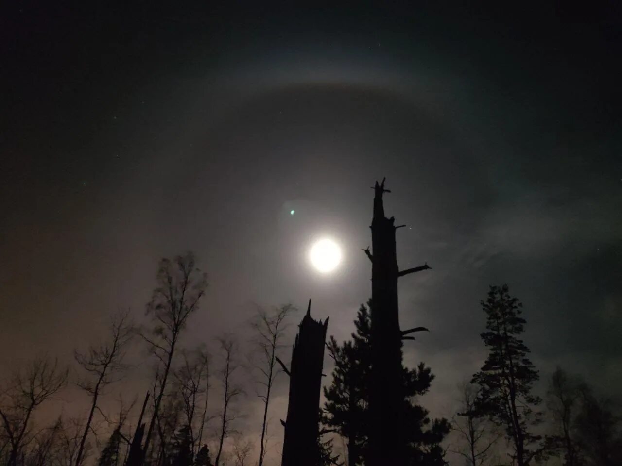 Гало вокруг Луны. Солнечное гало вокруг Луны. Гало явление Луны. Эффект гало вокруг Луны. Какое животное облетело вокруг луны