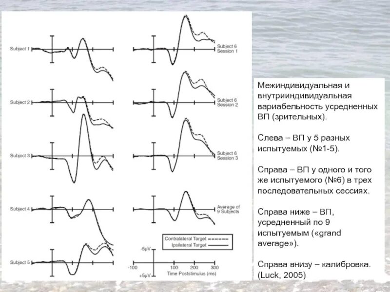 Одного и того же испытуемого