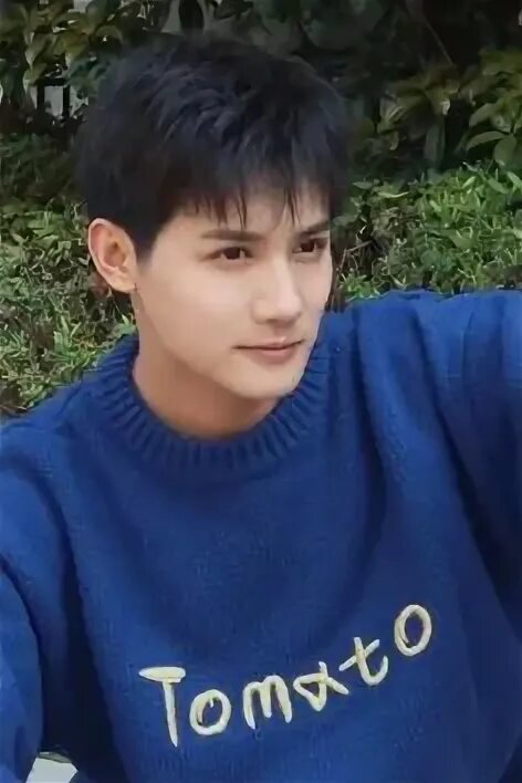 Ye zhang. Ye zhang