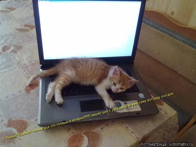 ждать пол дня