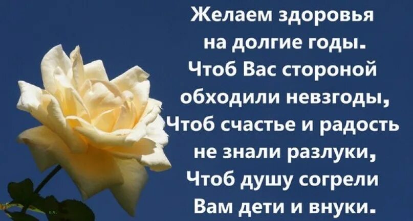 Будет радовать вас долгие. Желаем здоровья на долгие годы. Добрые пожелания родным и друзьям. Добрых счастливых желаю событий. Ромашки афоризмы.