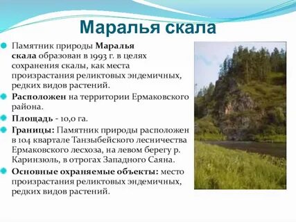 Красноярский край статьи