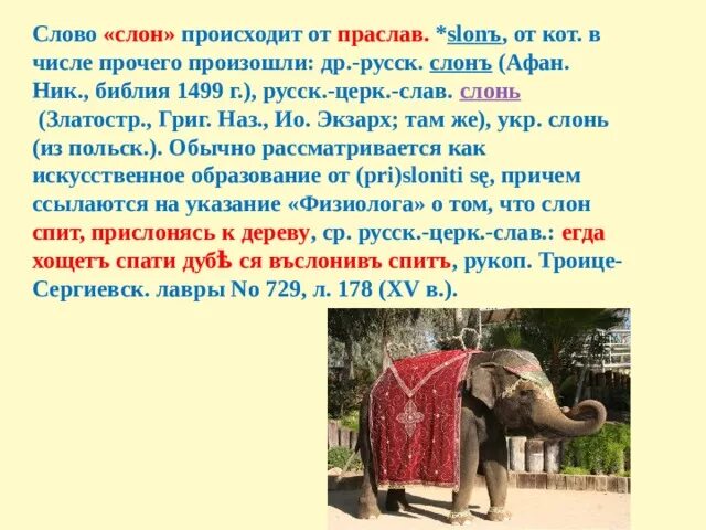Значение слова слон