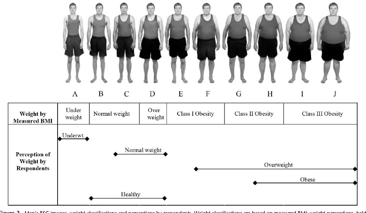 Size scale. Weight classification. normal body size. landing weight classification. tidhttp request body size.