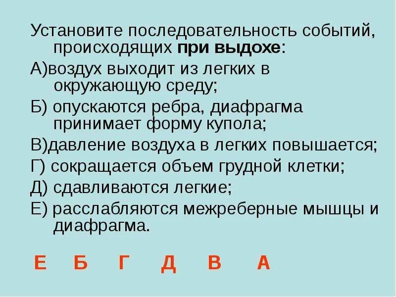 Давление воздуха при выдохе из легких. Давление воздуха при выдохе из легких