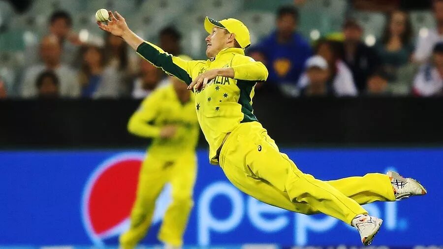 Did a good catch. Best cricket. cricket, lovely cricket?. эстетика cricket. catches.