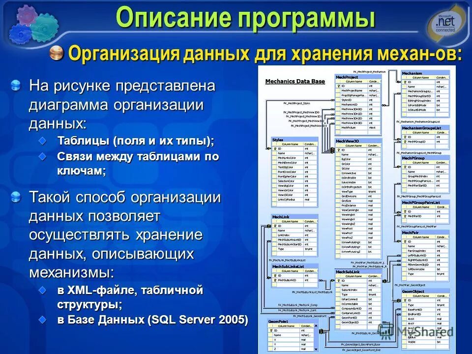 Презентация проекта программа