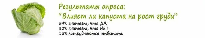 Правда что от капусты растет. Капуста влияет на рост груди. Капуста для увеличения груди. Капуста для роста груди. Капуста для увеличения бюста.