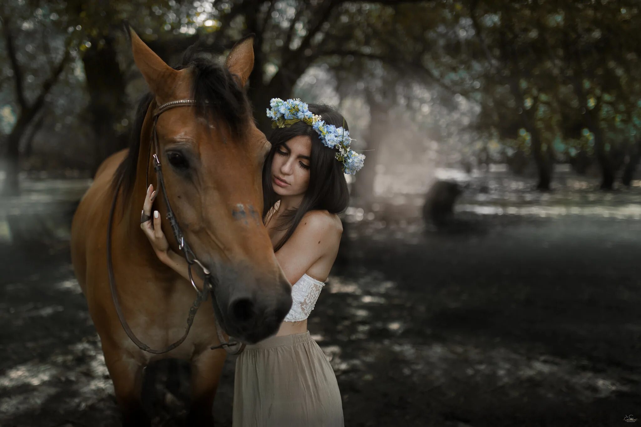 Pin by Virginia on caballos Horse photos, Horses, Equine photography poses