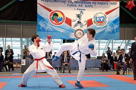Ак барс казань карате