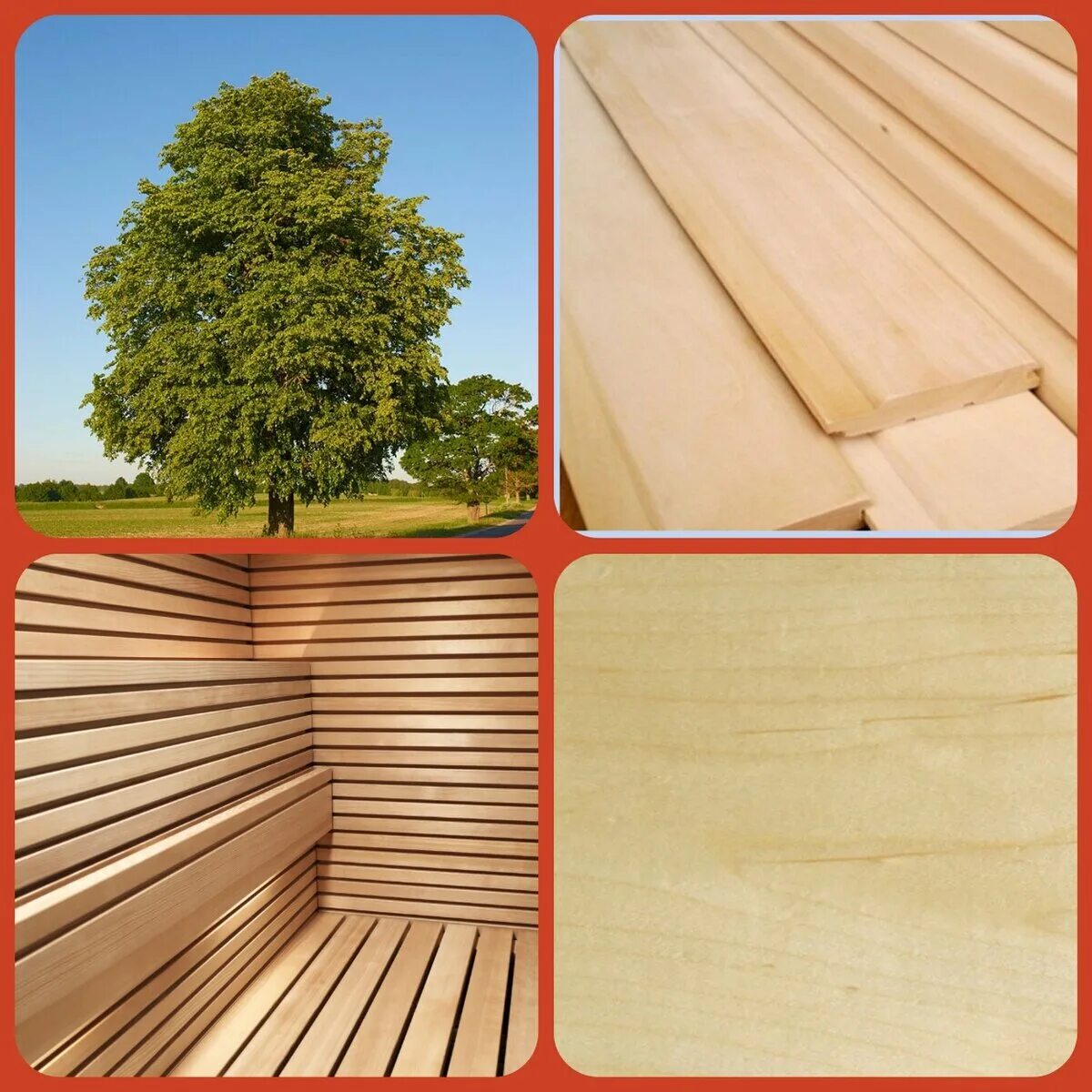 Материал легче дерева. Деревянные материалы. Дерево в строительстве. Дерево для бани. Материалы из дерева для строительства.