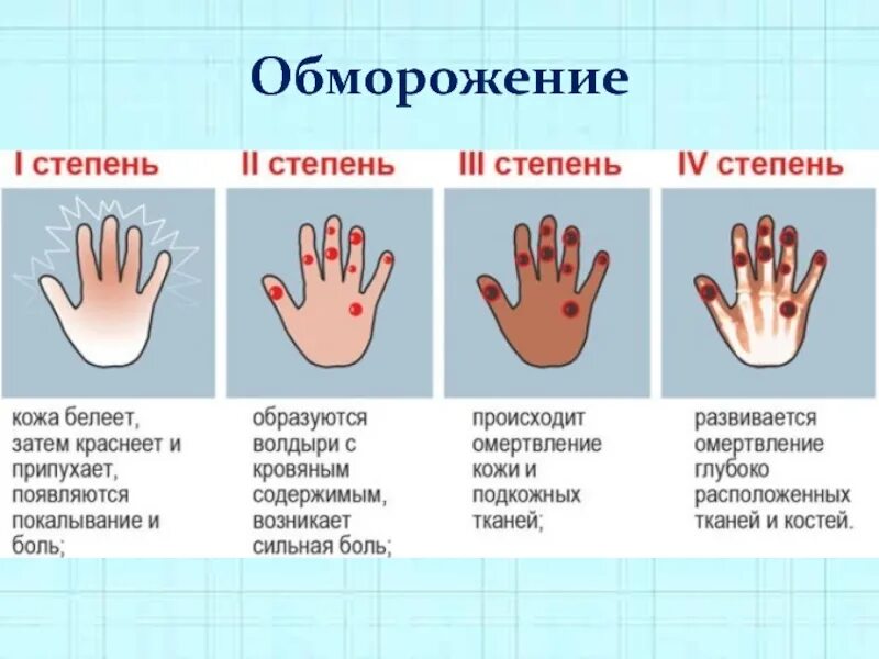 Почему у человека теплые руки