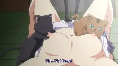 Slideshow sexy anime cat nackt gif.