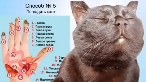 29 способов