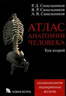 Синельников атлас анатомии человека 3