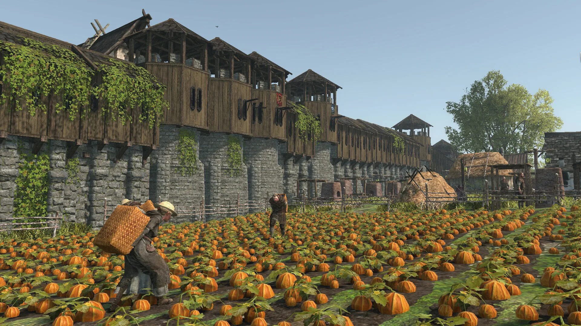 Feudal forest. Life is feudal: forest village. life is feudal forest village последняя версия. лесная деревня игра. life is feudal forest village город.