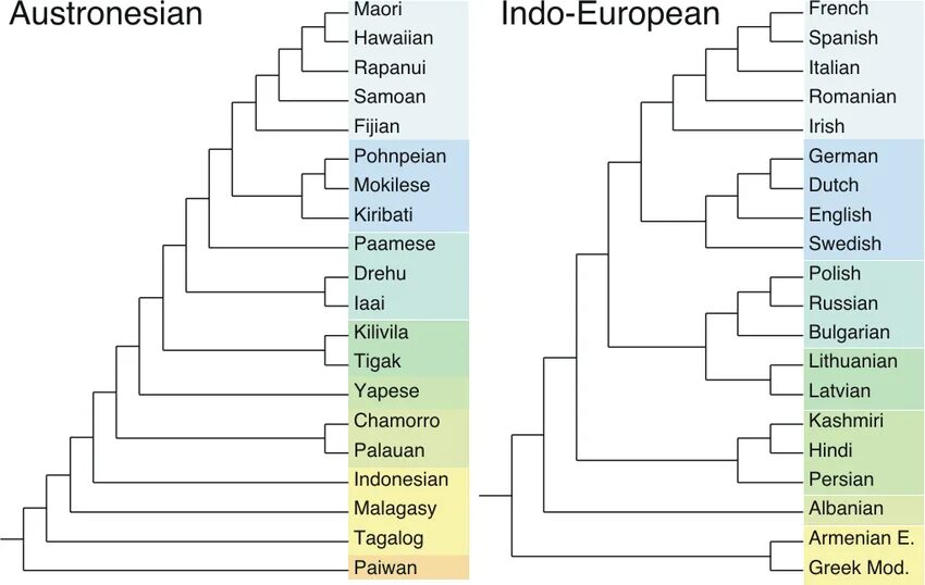 C like languages. Indo european languages tree. генетическая классификация языков. language family tree. тюркские языки дерево.
