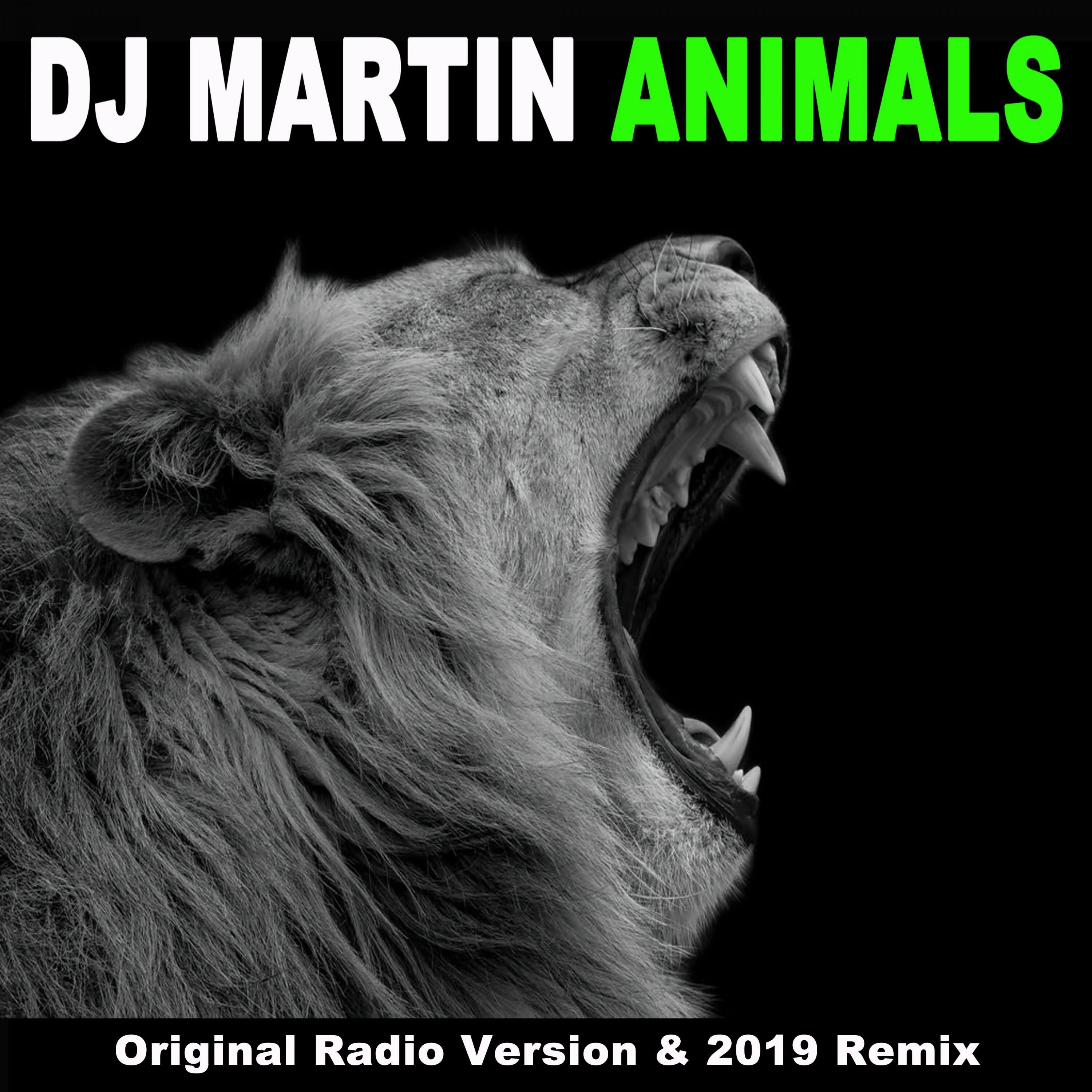 Animals оригинал. Martin Garrix animals. Animal (Original Mix). Animals DJ. Энимал песня.