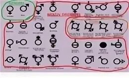 У человека есть пол. Гендеры. Гендеры список. Значки всех гендеров. Типы гендеров.