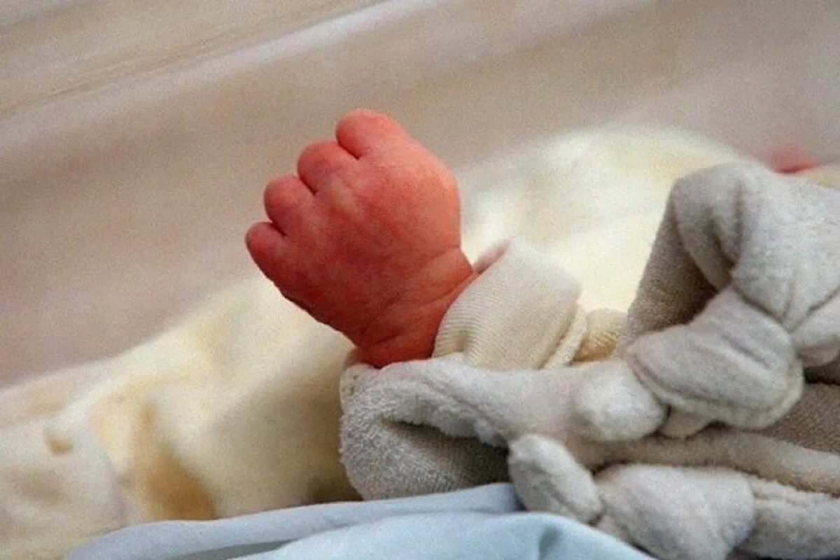 Новорожденный ребенок. Рука новорожденного ребенка в роддоме. Ручки младенца. Новорожденный на руках. Новорожденный без мамы