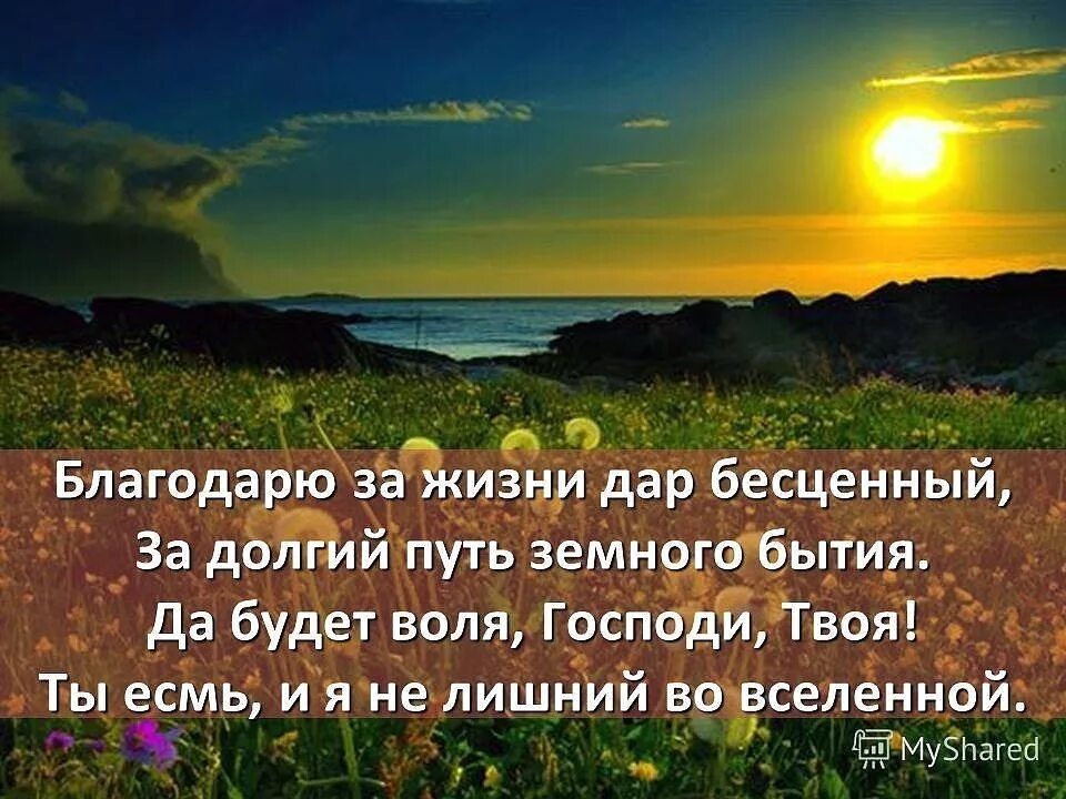 Я самый нужный на земле. Благодарность Богу. Высказывания о природе. Каждый день благодарю Бога.