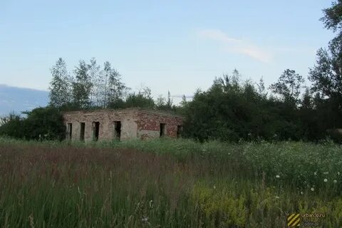 Погода в храброве