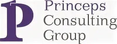 E consulting