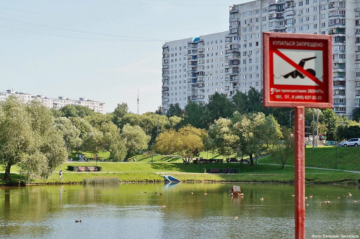 Три пруда в Ясенево. Парк Ясеневские пруды Москва. Усадьба Ясенево Ясеневские пруды. Ясеневские пруды гидротехнические. Ясенево вода