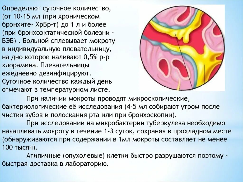 Бронхит характер мокроты. Наличие мокроты. Суточное количество мокроты. Определение суточного количества мокроты. Мокрота это пульмонологии.