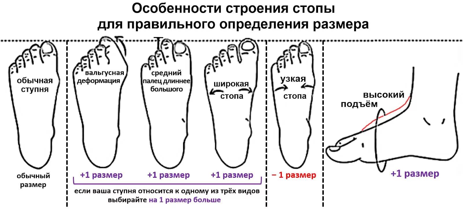 Как определить полноту стопы для обуви. Как измерять полноту ноги стопы. Как измерить широкую стопу. Как узнать какая ширина стопы. Полнота стопы узкая стопа.