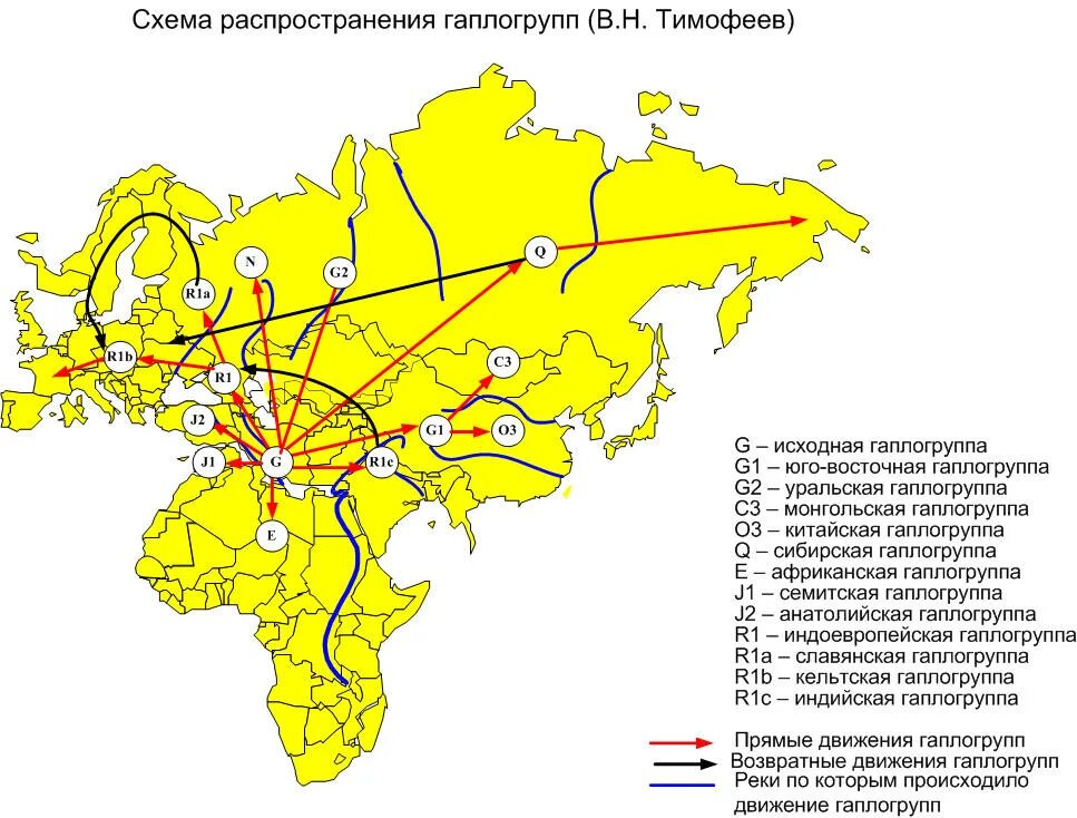 Перечень расселения. Гаплогруппа. Карта расселения гаплогрупп. Карта миграции гаплогрупп. Гаплогруппа схема.