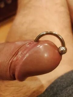 Free prince albert piercing porn pics. 