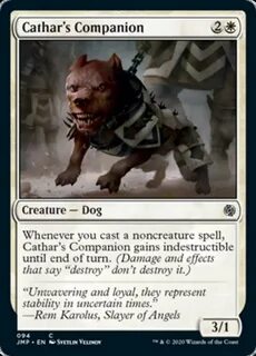 Loyal companion