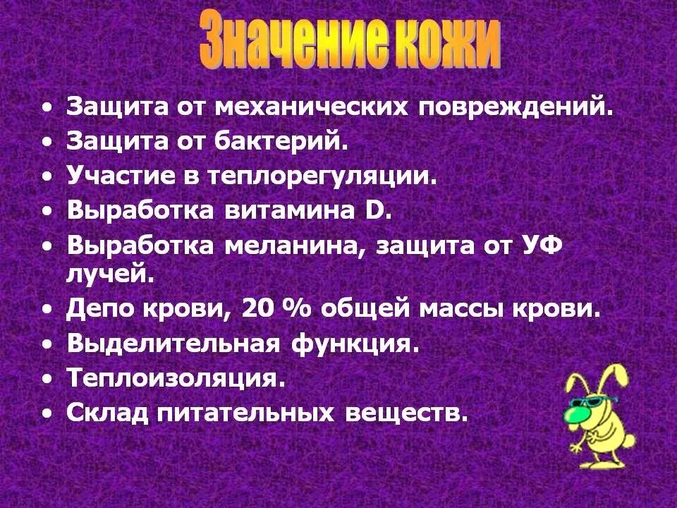 Значение кожи для организма. Рассказ на тему значение кожи для организма. Доклад на тему значение кожи. Значение кожи для организма 4 класс.