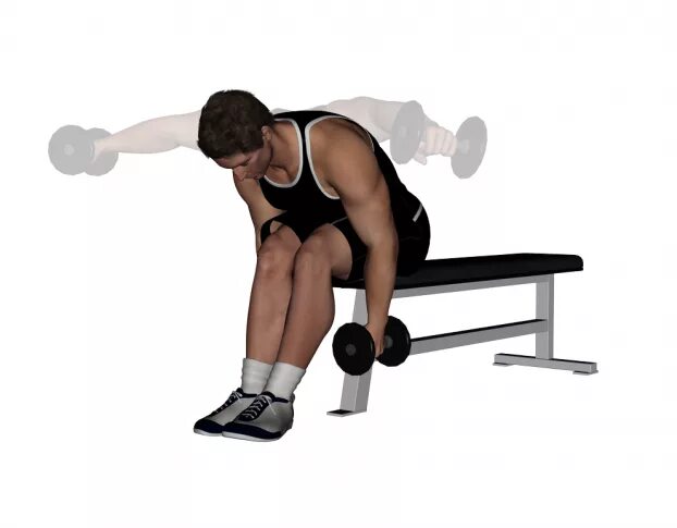 Seated Dumbbell lateral raise. Seated Side lateral raises. Dumbbell raise сидя.