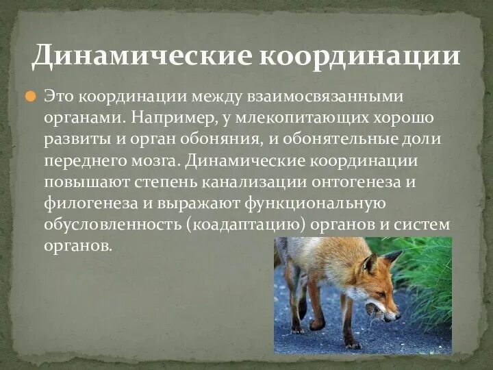 Взаимосвязанные изменения